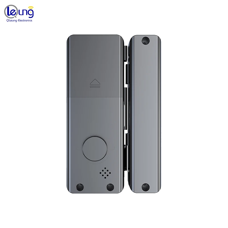 Qleung New Pattern Glass Door Lock G9S Tuya Remote Control High Quality Fingerprint Intelligent Door Lock