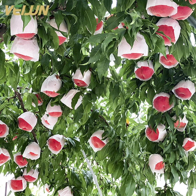 Fresh Grape Mango Guava Guayaba Fruit Vegetables Nonwoven Protection Bag Agriculture Replace Paper Bag