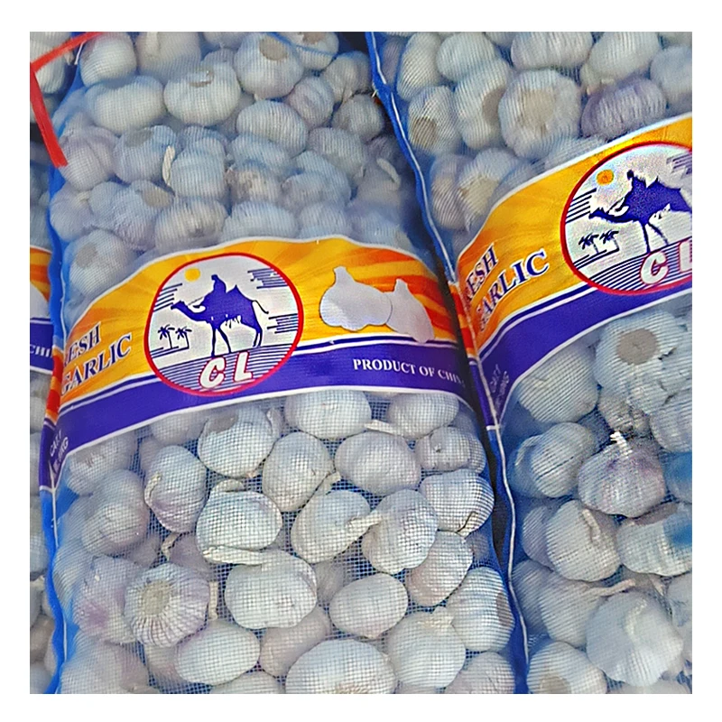 Хорошее качество Ajos Super Blanco чеснок свежий китайский