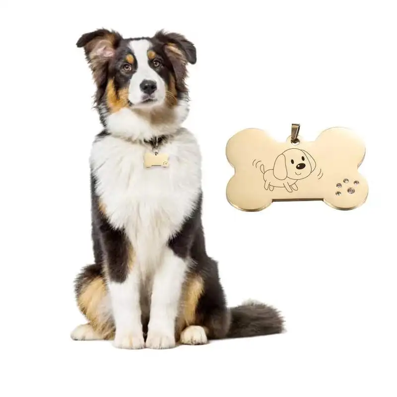 2025 кулон в виде собачьей лапы, из нержавеющей стали