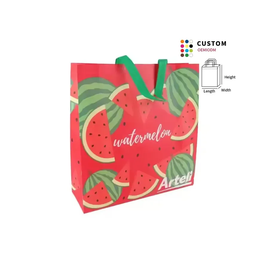 Custom Printed Biodegradable Reusable Foldable  Eco Friendly Non Woven Shopping Bag