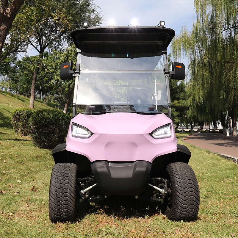 Discount price Electric Shuttle Bus Customized Hotel Airport Electric Car 6 Seater Golf Cart for Sale