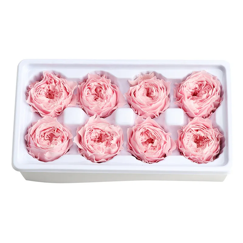 Wholesale Real Touch Long Life Stabilized Dried Forever Flower Head Bud Eternal Preserved Austin for gifts Wedding Decorative