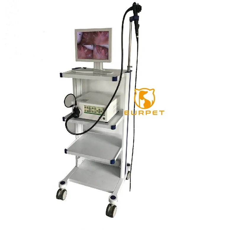 EUR PET Superior Quality Veterinary Instrument Durable Veterinary Flexible Endoscope Electronic Gastroscope For Pet