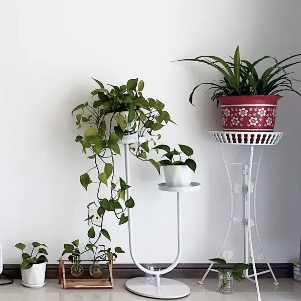 Reliable quality wrought iron plants for balconies