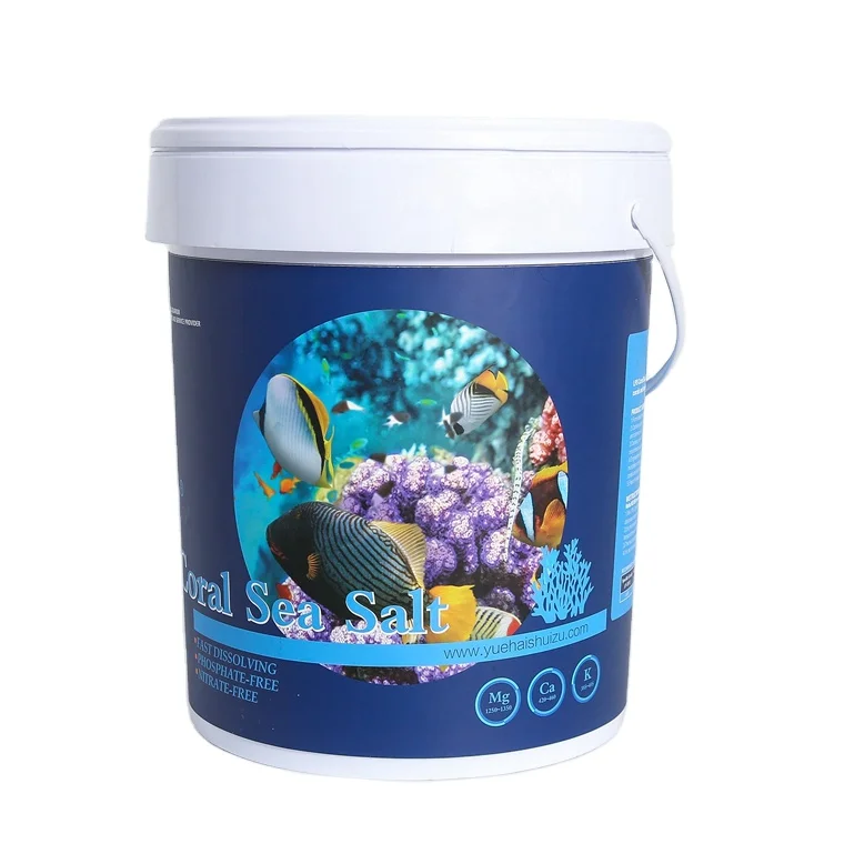 Desktop Saltwater Aquarium Special Marine Reef Tank with Fish Stocking Made of Durable Plastic