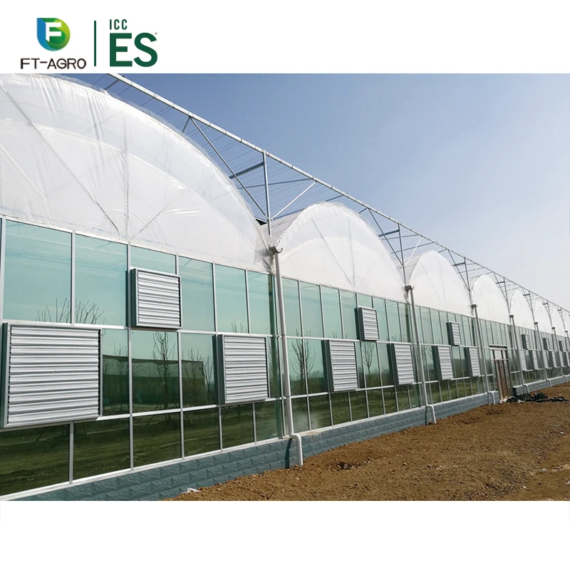 Commercial Hydroponic Systems Growing Greenhouse Vegetables Multi-span Green House with Climate Control System