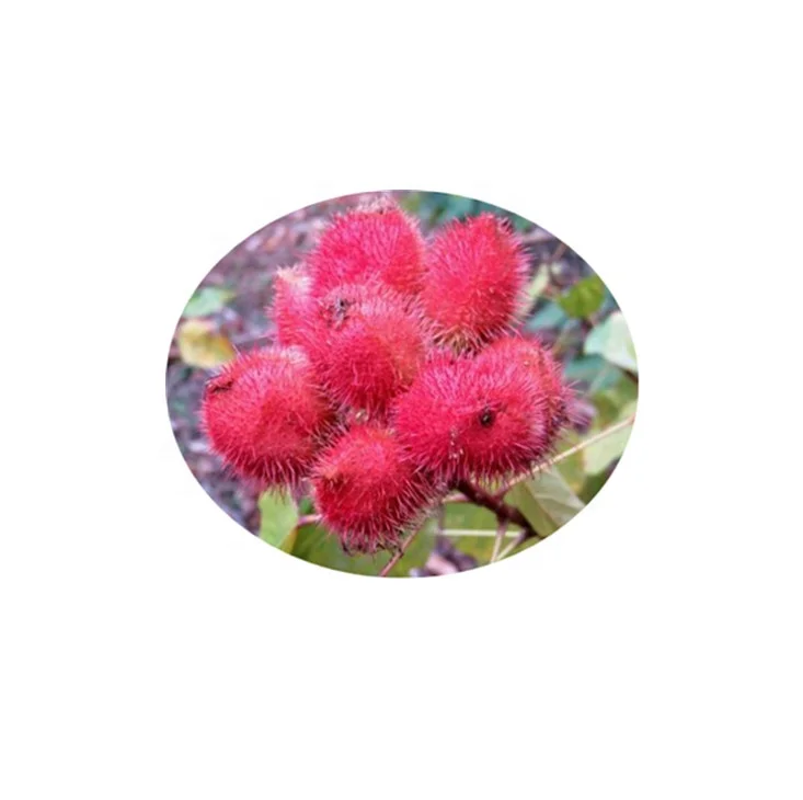 Most Popular Vitamin E 15% Powder from Annatto Seeds Extract