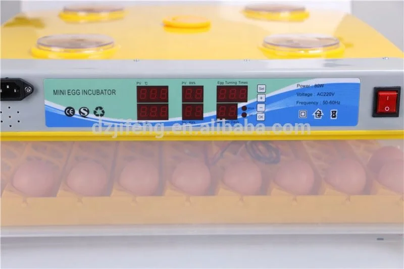 high quality and best price egg cabinet incubators