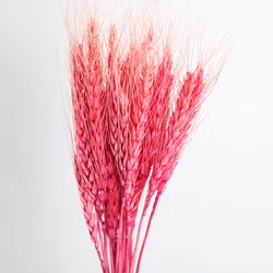 Wholesale high Quality home decor 50 pcs dried flowers wheat bouquet natural dried ear of wheats