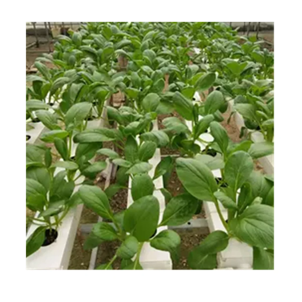 2023 Agriculture Fertilizer-Saving Hydroponics Growing NFT Hydroponics Channel System
