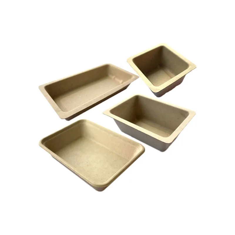 Top Quality 100% Eco-friendly Recyclable Biodegradable Protective Customized Molded Pulp Packaging for Paper Pulp Tray