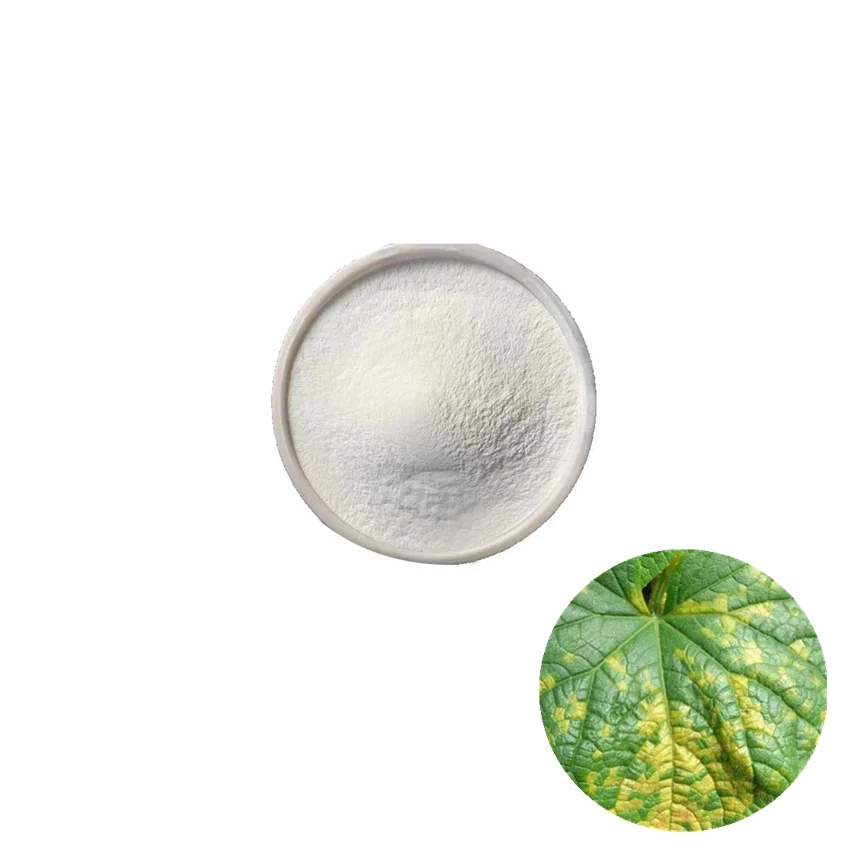 PD Certificate Fungicide Metalaxyl 10%+ Mancozeb 48% WP