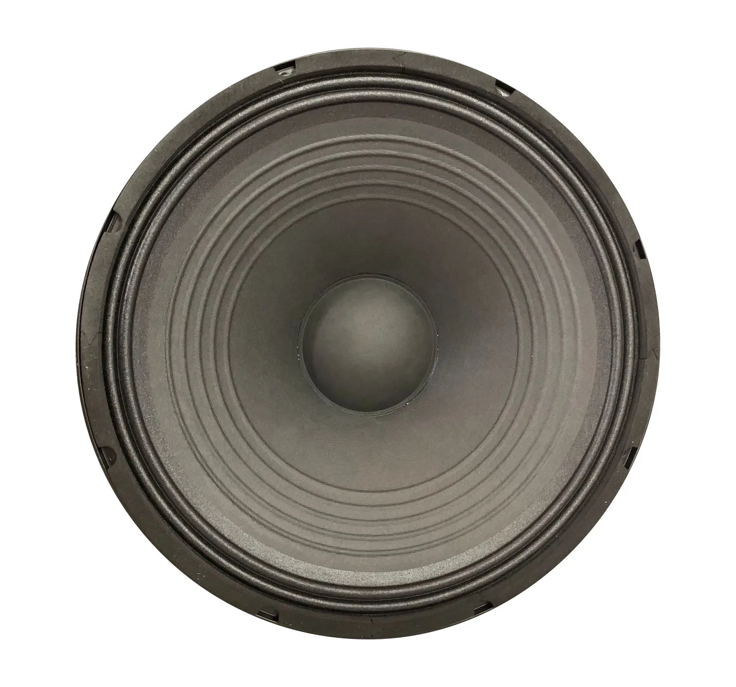 12 inch neodymium 75 mm coil pro sound mid bass woofer speaker