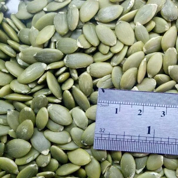 
Shine skin pumpkin seed kernels with variety types 