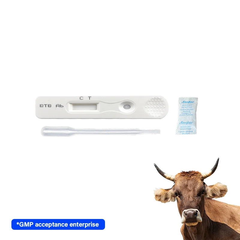 accuracy Medical Diagnostic bovine Tuberculosis Antibody BTB Rapid Test Kit for cattle