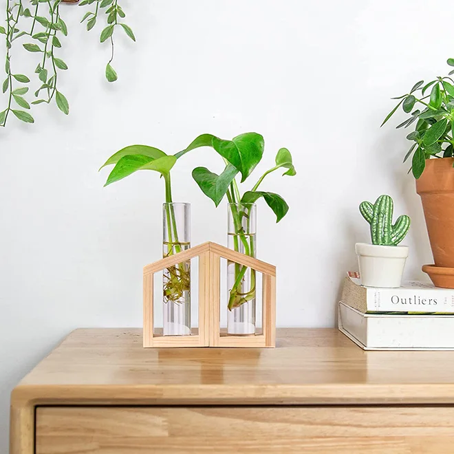 Wholesale Crystal Plant Terrarium with Wooden Stand Propagation Stations Plants Tabletop Glass Terrarium for Hydroponic Plants