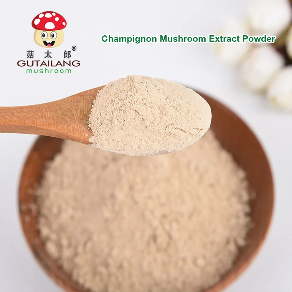 Mushroom Champignon Powder Gutailang Factory Directly Selling Champignon Mushroom Extract Powder