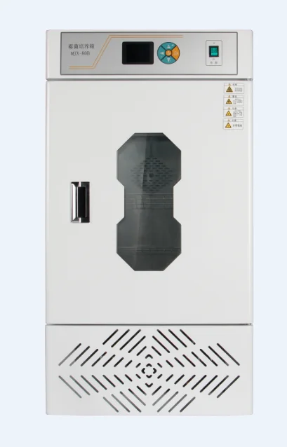 Laboratory Incubator Equipment Mould Incubator for Microbiology Medical Environmental