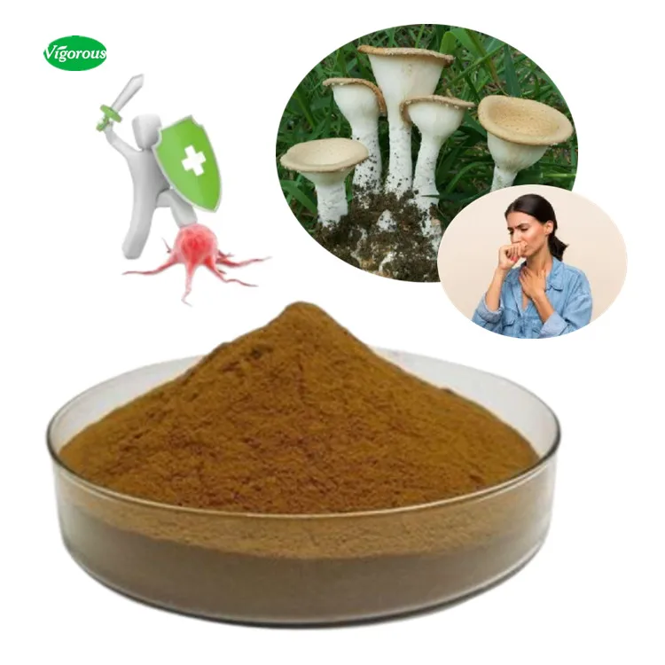 Free samples Health Tiger milk mushroom King tuber mushroom  extract