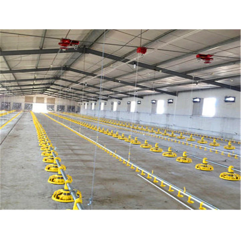 Industrial Chicken Coop House for Broiler/Layer Steel Chicken House