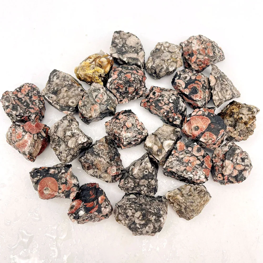 High quality mix color gemstone wholesale rough natural crinoid raw stone for mineral specimen