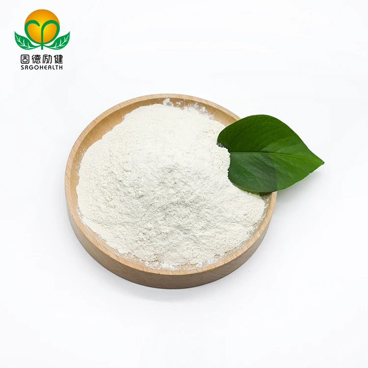 Bulk Wholesale Supply Top-quality Organic Rice Protein