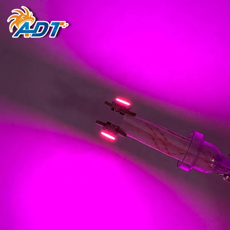 ADT Transparent base insert t10 194 #555 2Leds 5050SMD Pinball 6.3 V Flexible 360 Angle pinball led lamps Light Purple