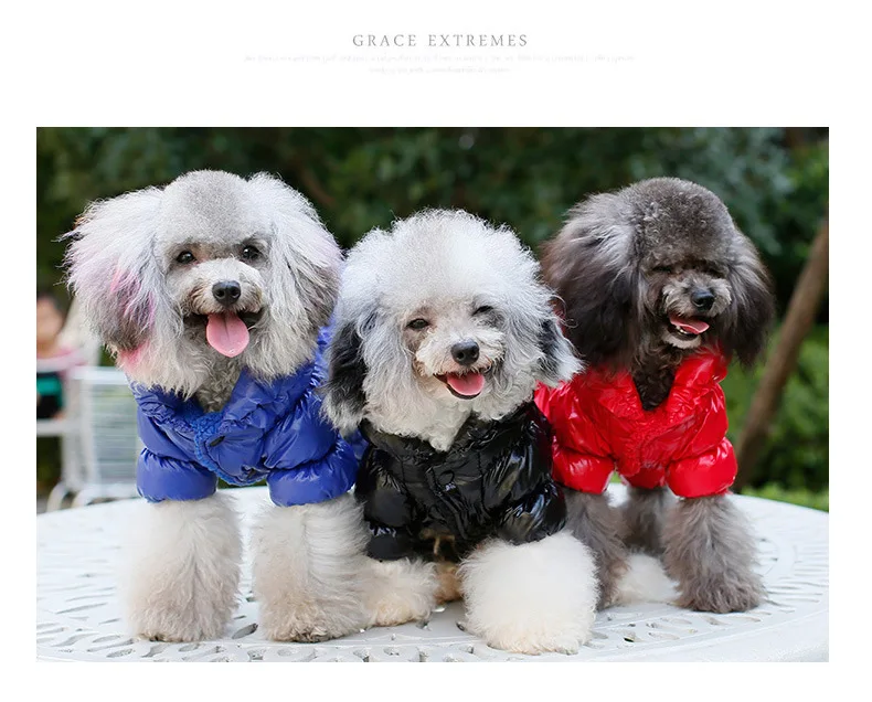 High-end luxury brand Fashionable dog jacket waterproof zipper dog clothes coat
