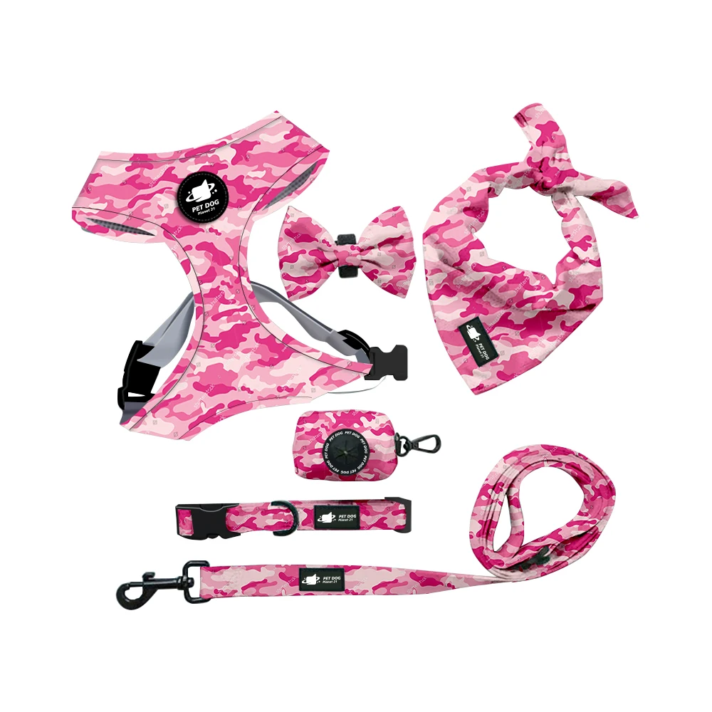 OEM/ODM Polyester Adjustable No Pull Pet Dog Leash Collar And Harness Set RTS