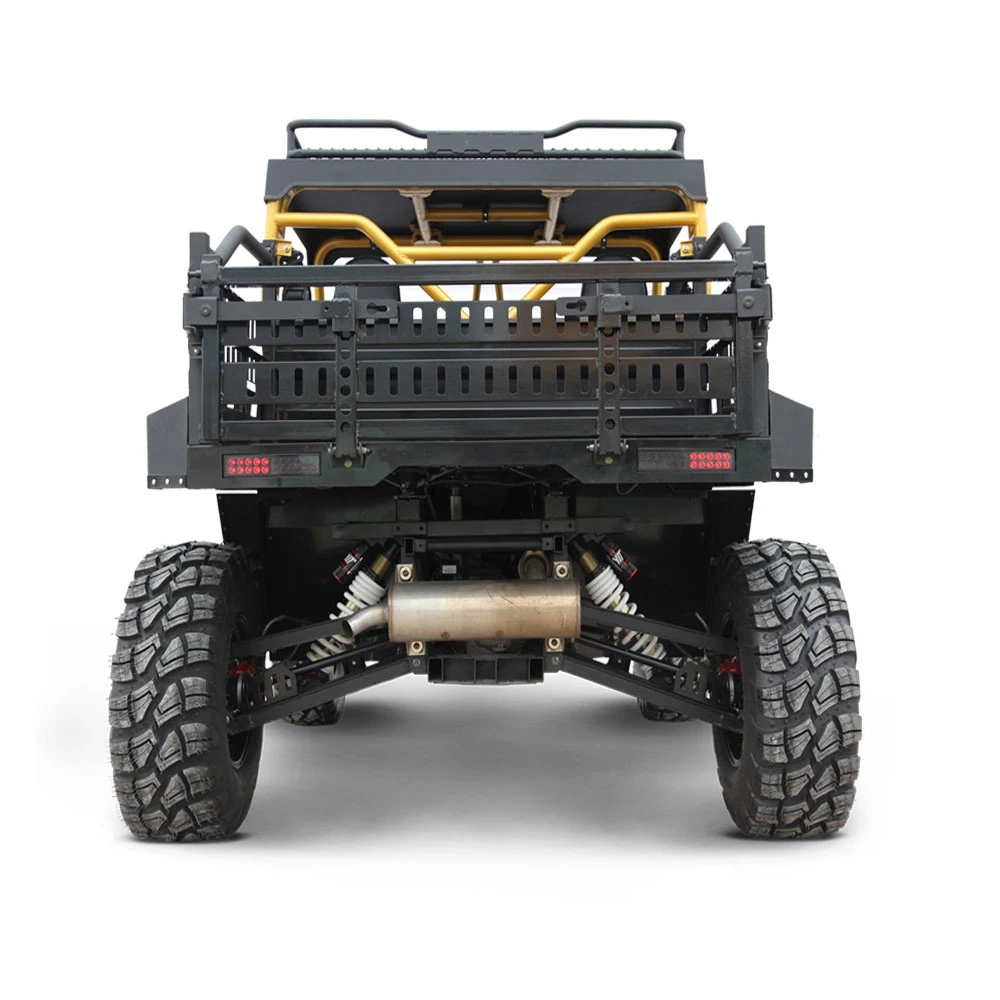 100Km/h Speed Strong Power Automatic Off Raod UTV 4x4