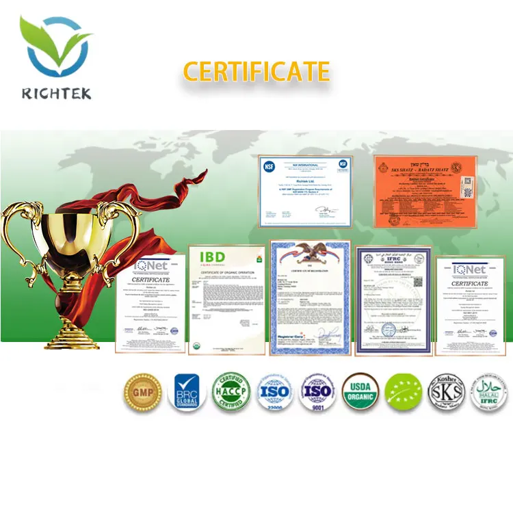 Wholesale Protein Powder Drink Peptides Grass Fed Hydrolyzed Bovine Collagen for Skin