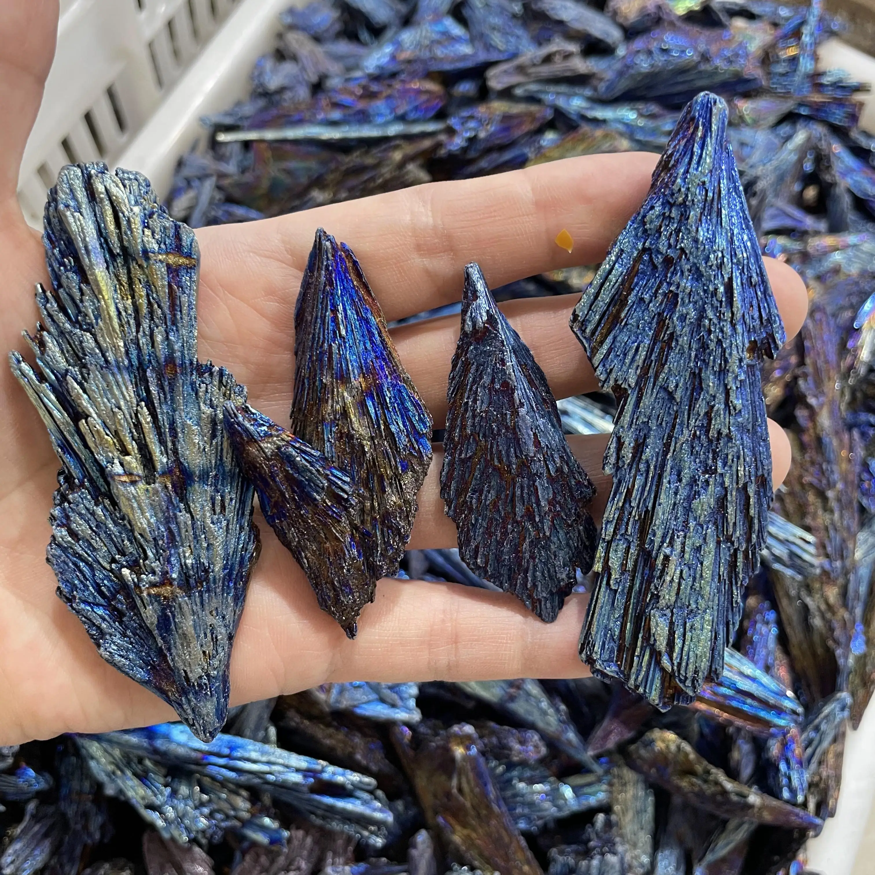 Wholesale natural blue electroplated black tourmaline peacock feather rough stones angel aura minerial stones