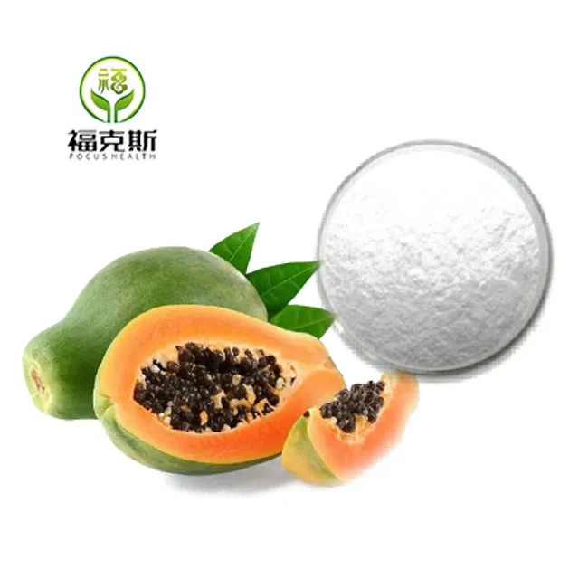 Focus Supply Papain High Quality Factory Supply Food Grade Papain Enzyme