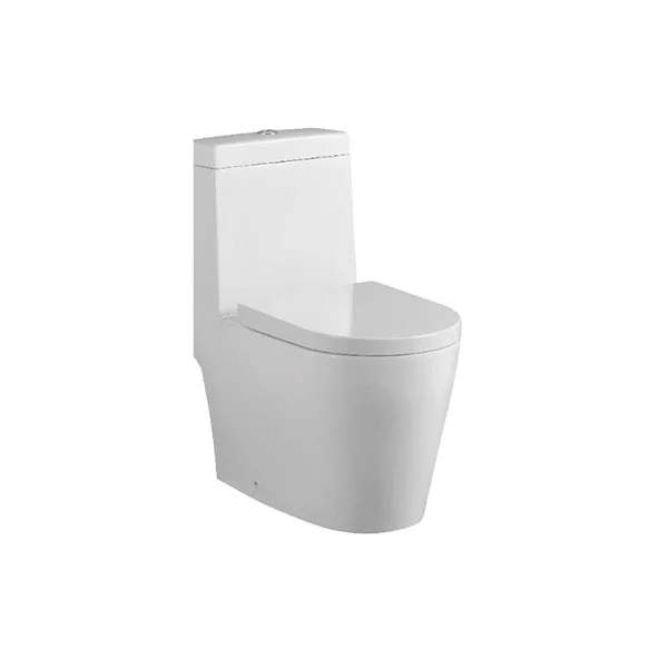 WC-1035 One Piece Toilet with Geberit or R&T Flush Valve Soft Closing Seat Cover Ramp Down Closer  Water Closet Toilet Bowl
