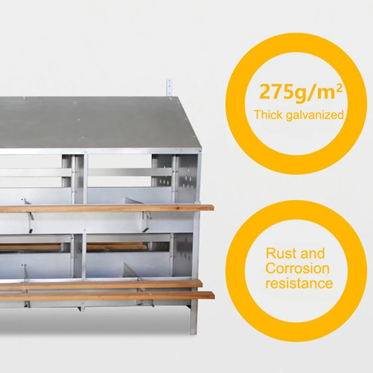 Poultry Equipment 12 Holes Metal Chicken Egg Laying Nest Box Hot Galvanized Sheet Chicken Nesting Box
