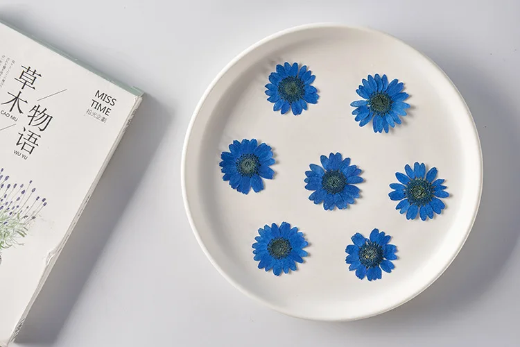 DIY Handmade Craft Daisy Marguerite Scrapbooking Epoxy Resin Natural Plant Real Pressed Flower