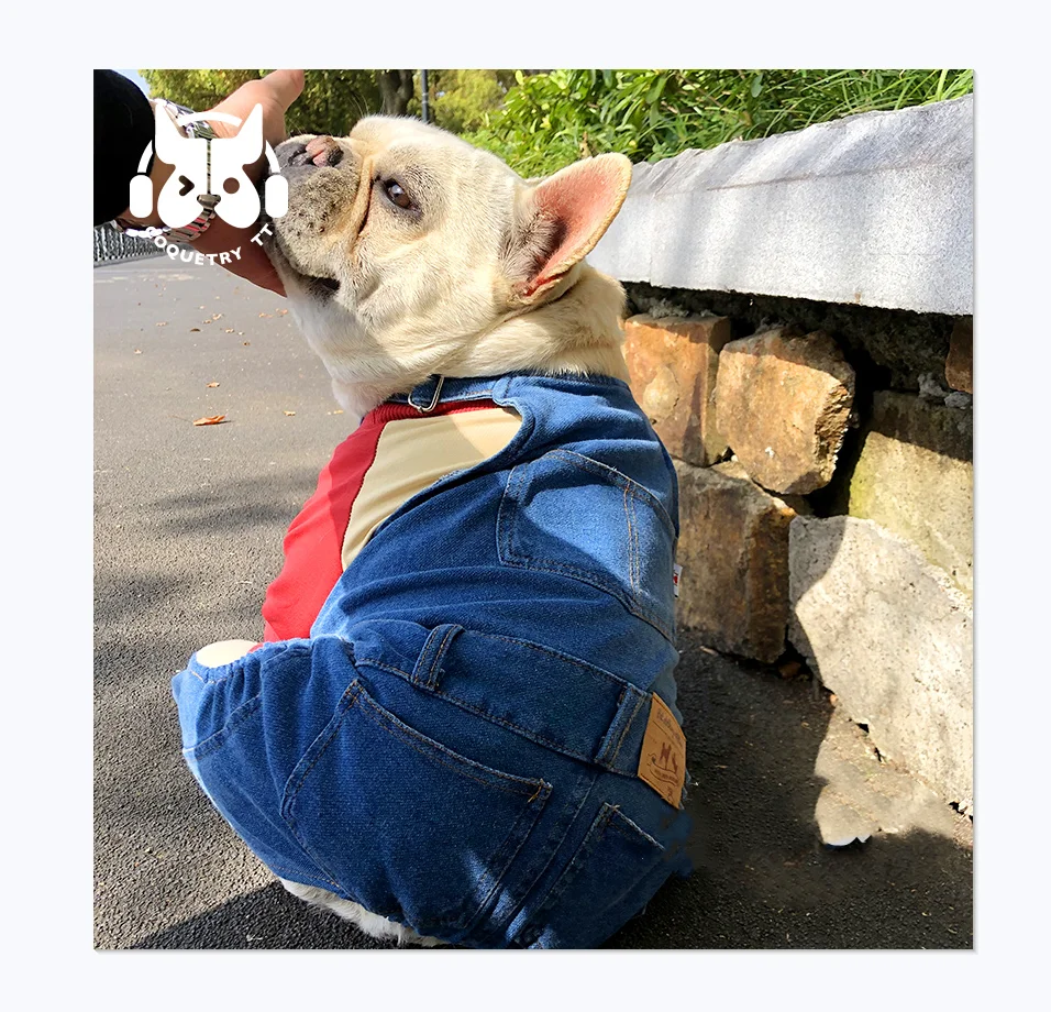 Factory Price dog new spring and summer overalls teddy dog overall dog clothes