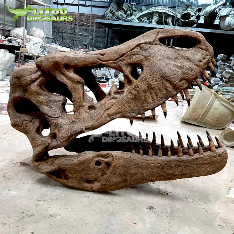 Life Size Dinosaur Skull of T-rex
