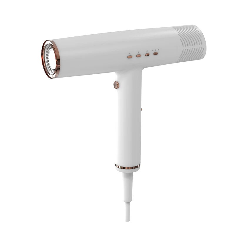 Hairdryer Mini Portable Stand Reverse One Step Professional Salon Blow Negative Hot And Cold Wind Ion Hair Dryer Set