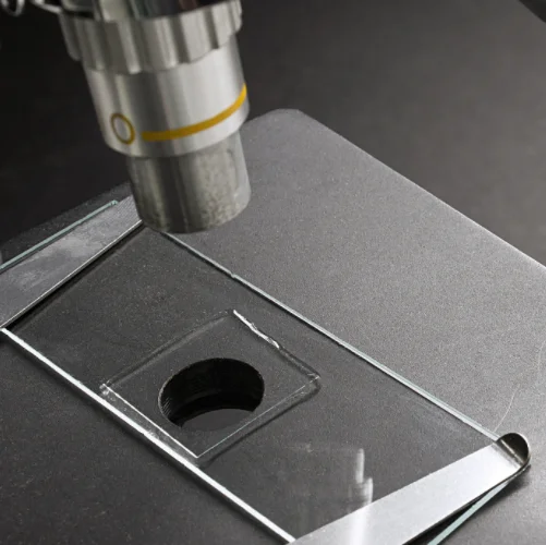 Laboratory slides 75*26 mm disposable plastic mioscope slides