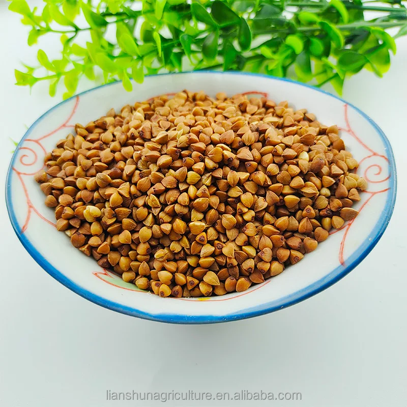 China origin natural bulk roasted buckwheat /Roasted Buckwheat Kernel for sale