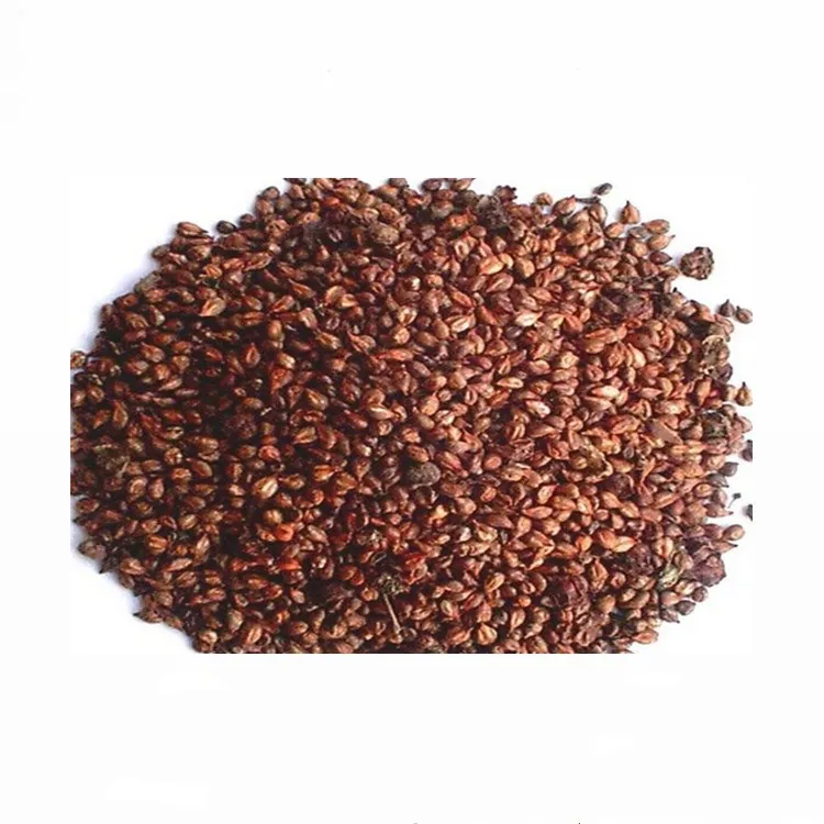 Best Seller Natural Water souble Grape Seed Extract 95% OPC Powder