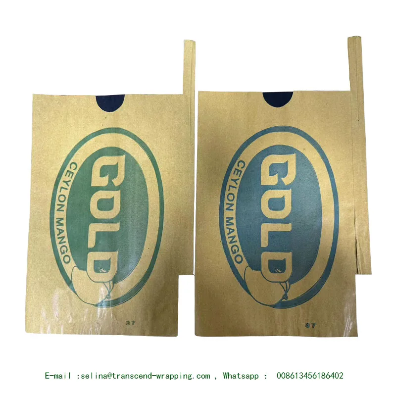 Srilanka  Blue and Yellow  Mango bag Double Layers Mango fruit Protection bag