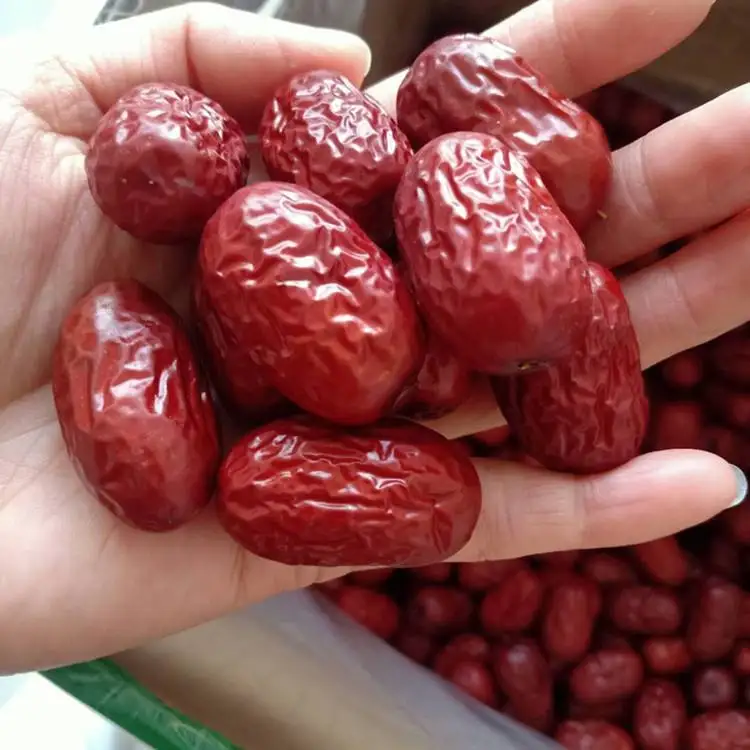 china fruit red date jujube
