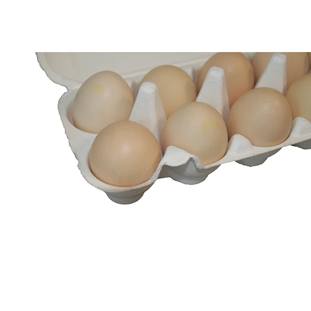 High Quality Biodegradable Compostable 10 Holes Egg Tray Carton