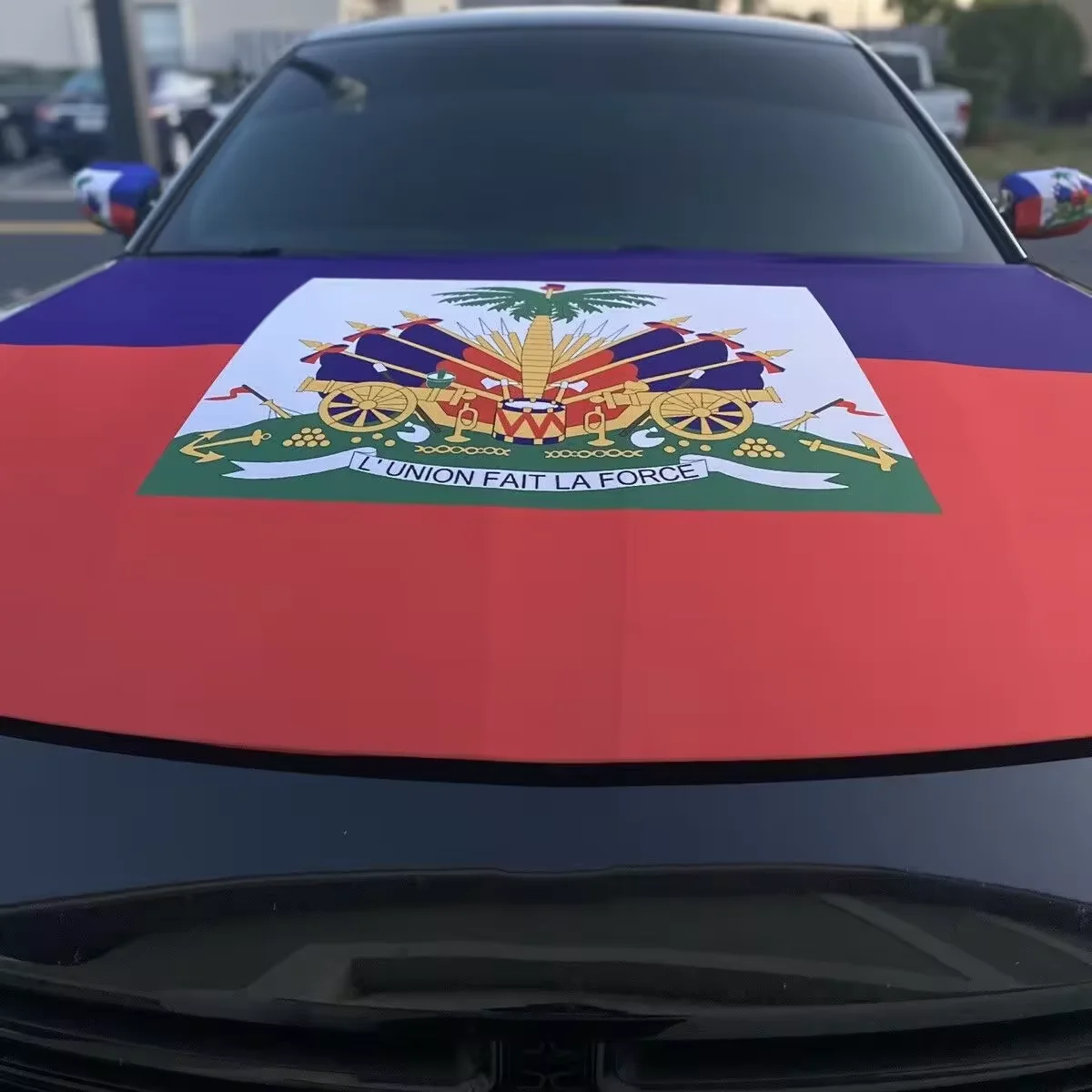 Custom High Quality Polyester Haitian Flag Engine Car Hood Cover  Haitian Car Window Flag  Haitian Car Mirror Flag  Cover