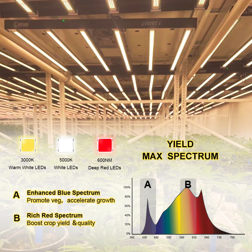New Arrived 2022 640W High PPFD LM301H LED Lights Full Spectrum LED Grow Light Replacing 1000W HPS Fixture