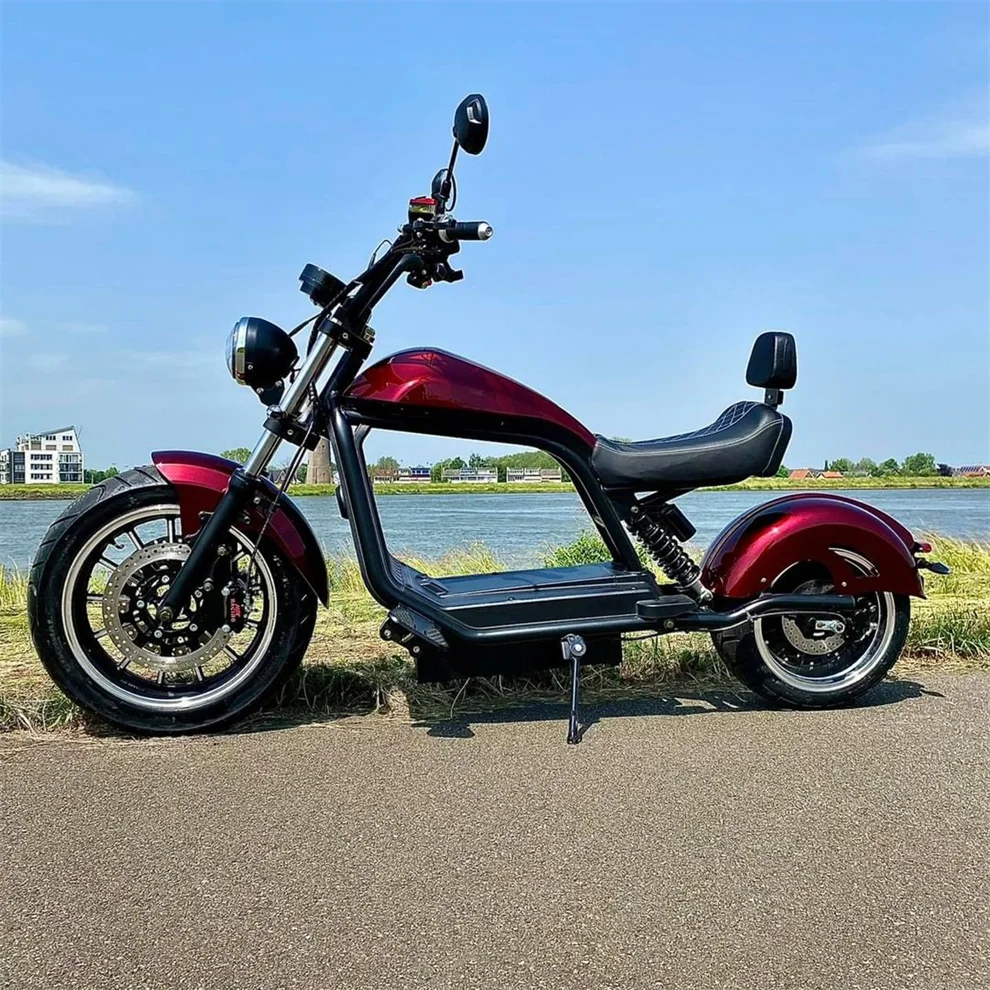 Factory Directly Supply 60v 20ah Harleyment 2 Wheel Citycoco Electric Scooter For Adults