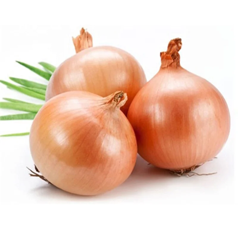 
2020 new crop fresh red onion yellow onion wholesales  (1600079062873)